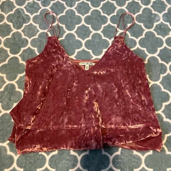 NEW Express mauve velvet top - Picture 1 of 4
